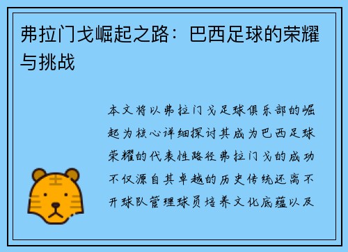 弗拉门戈崛起之路：巴西足球的荣耀与挑战