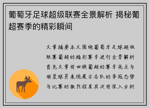 葡萄牙足球超级联赛全景解析 揭秘葡超赛季的精彩瞬间